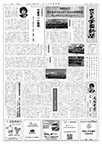 5月